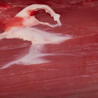 Photo Textures of RAW Beef Meat